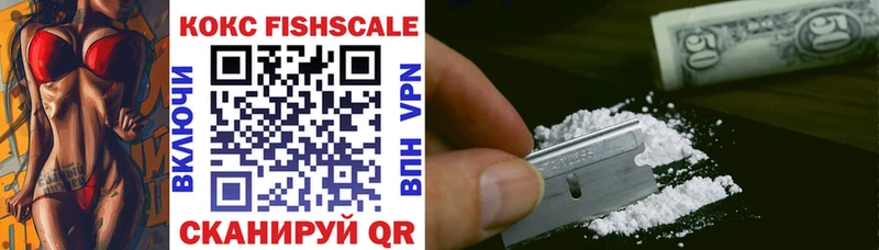 shop наркотические препараты Каменск-Уральский Cocaine FishScale купить наркотик