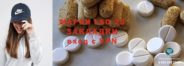mdpv Бородино