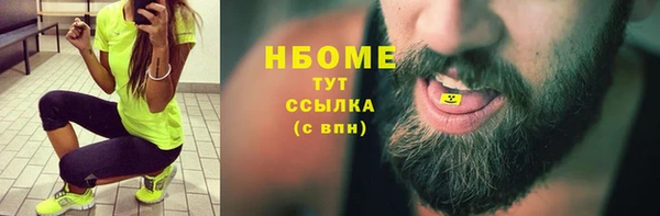 mdpv Бородино