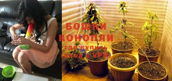mdpv Бородино