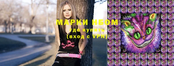 mdpv Бородино